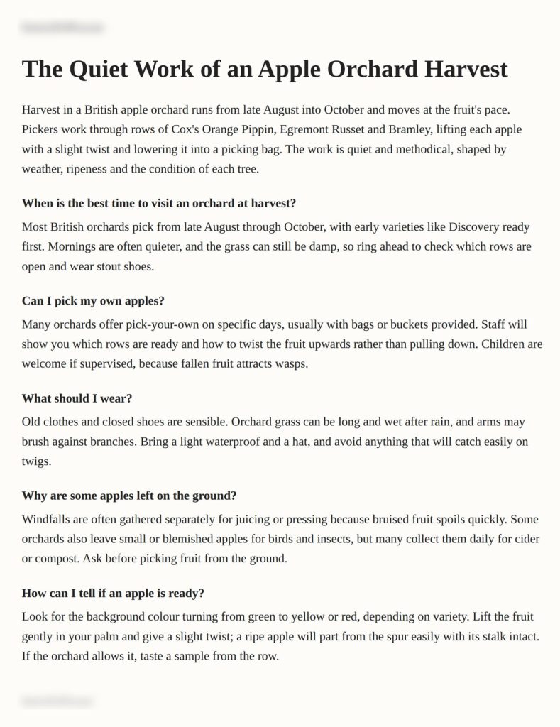 FAQ page template used in the indexing test